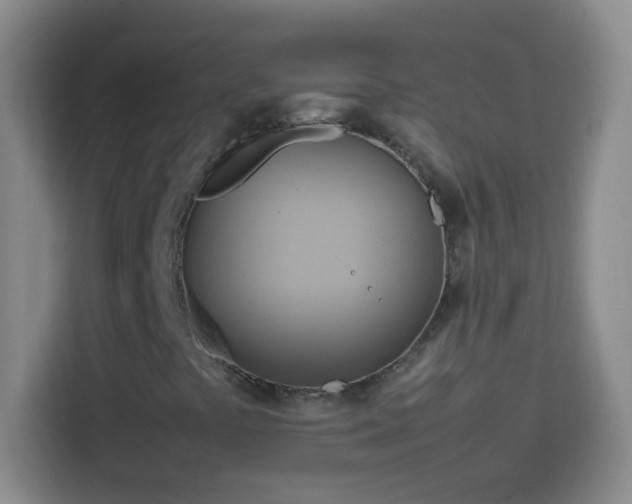 X0000113751441200909301022