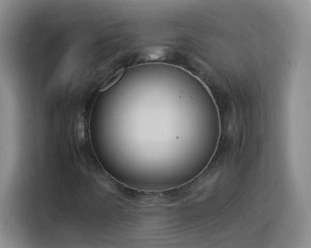 X0000113751442200909301022