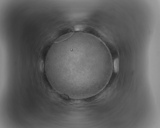 X0000113751443200909301022