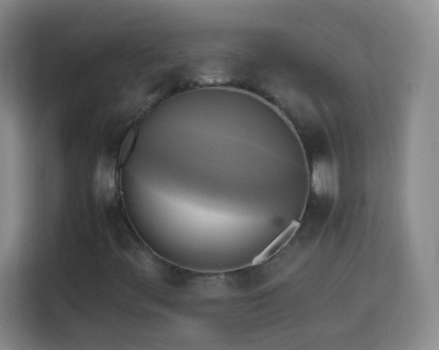X0000113751444200909301022