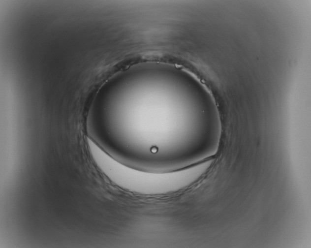 X0000113751445200909301022