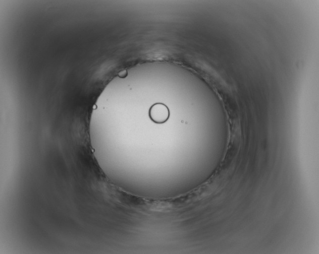 X0000113751446200909301022