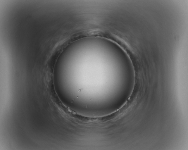 X0000113751447200909301022
