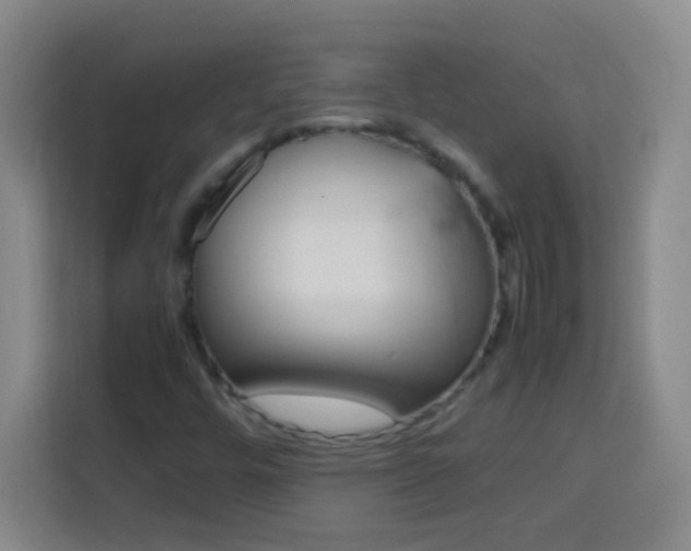 X0000113751448200909301022