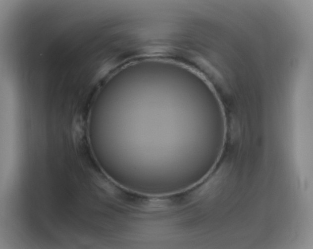 X0000113751449200909301022