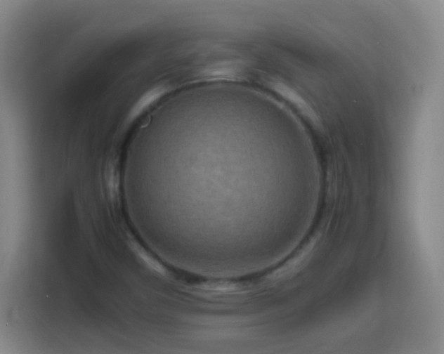 X0000113751450200909301022