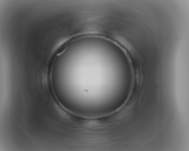 X0000113751452200909301022