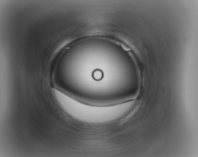 X0000113751453200909301022