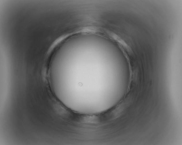 X0000113751454200909301022