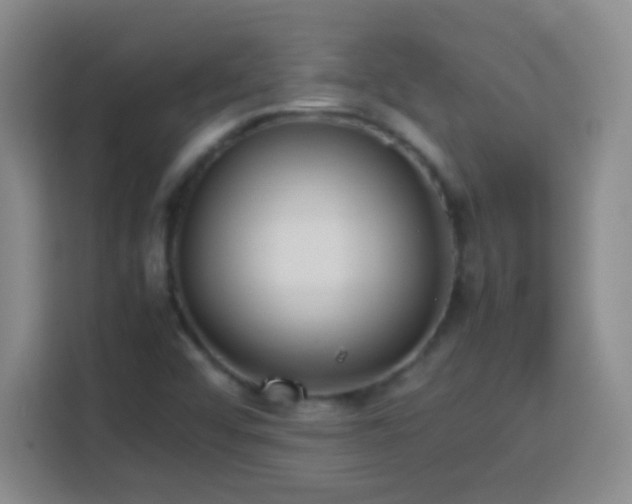 X0000113751456200909301022