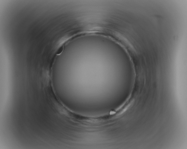 X0000113751457200909301022