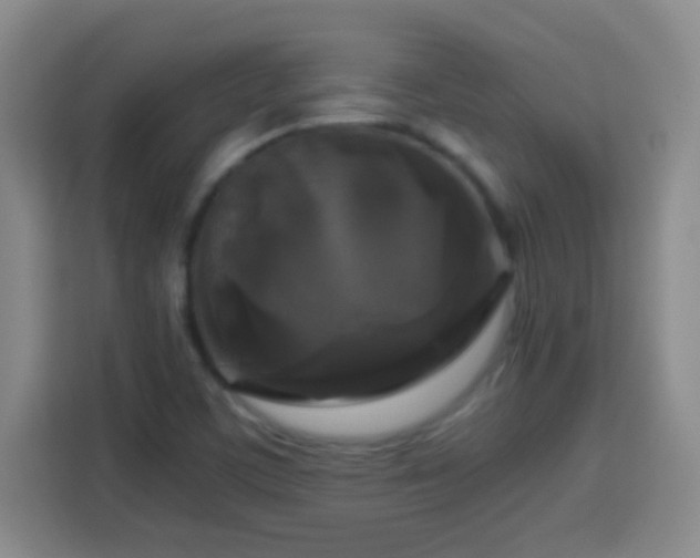 X0000113751459200909301022
