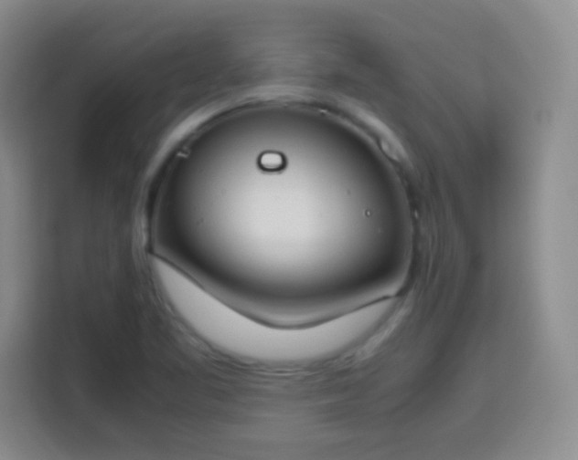 X0000113751461200909301022