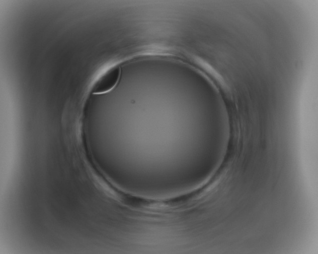 X0000113751463200909301022