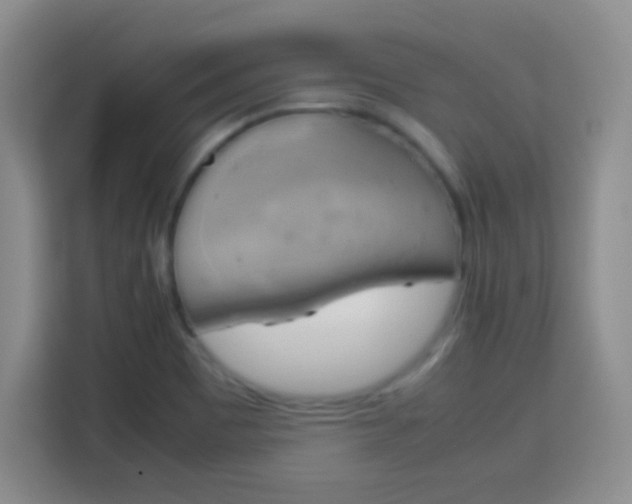 X0000113751465200909301022