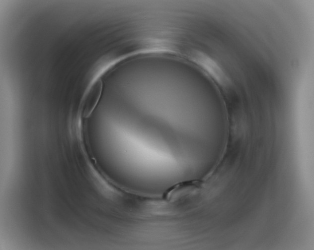 X0000113751468200909301022