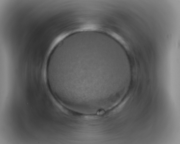 X0000113751469200909301022