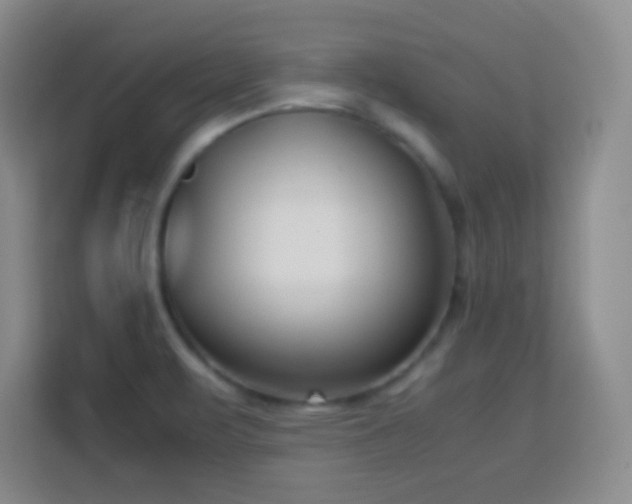 X0000113751471200909301022