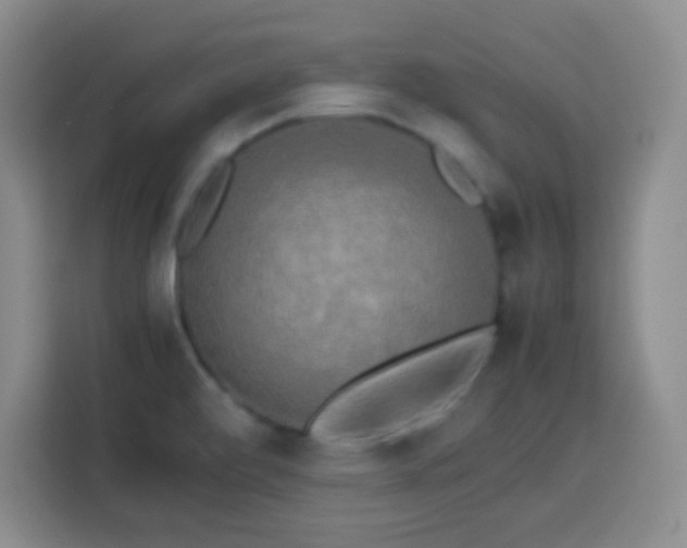 X0000113751472200909301022