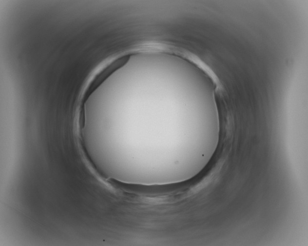 X0000113751477200909301021