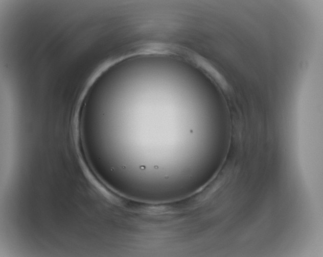 X0000113751479200909301021