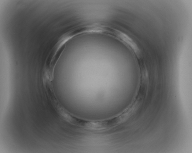X0000113751481200909301021