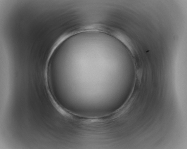X0000113751482200909301021