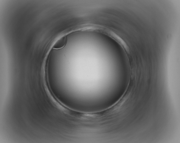X0000113751483200909301021