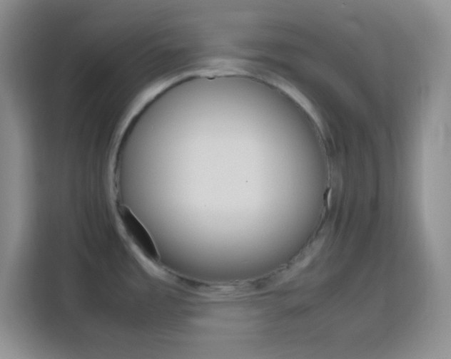 X0000113751485200909301021