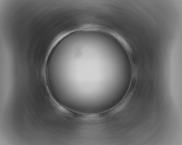 X0000113751486200909301021