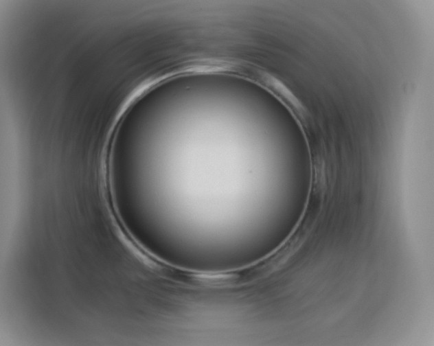 X0000113751487200909301021