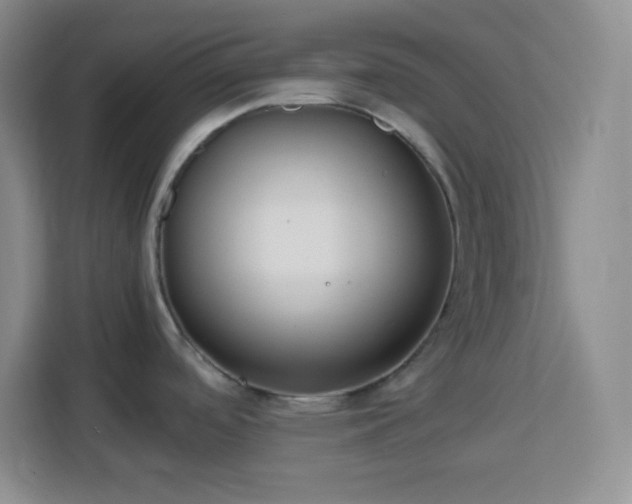 X0000113751488200909301021
