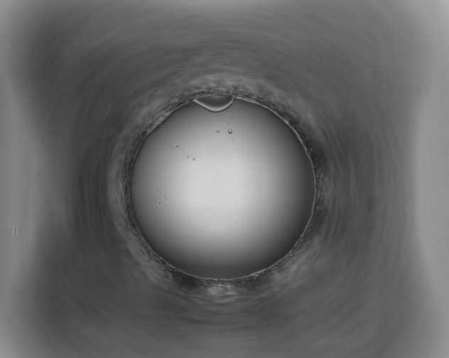 X0000113751489200909301021