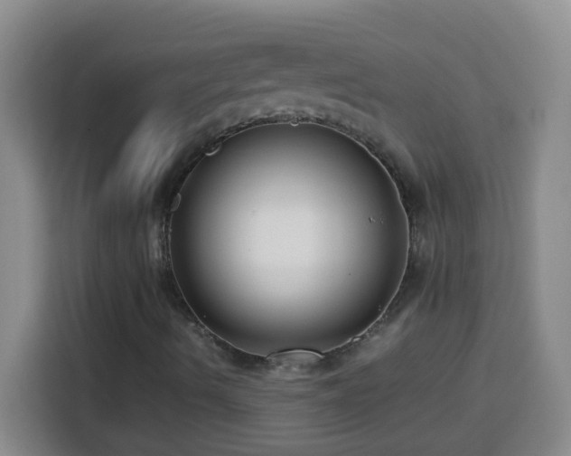X0000113751490200909301021