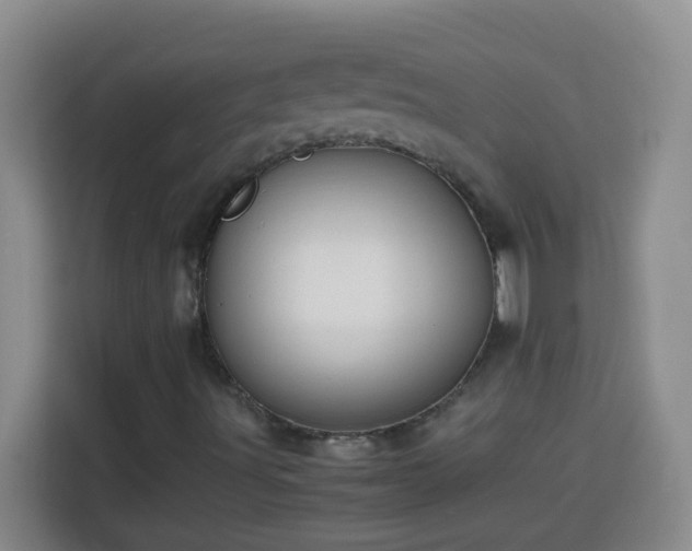 X0000113751491200909301021
