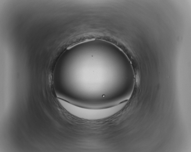 X0000113751492200909301021