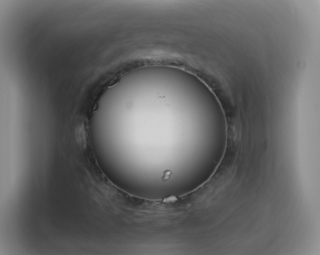 X0000113751493200909301021