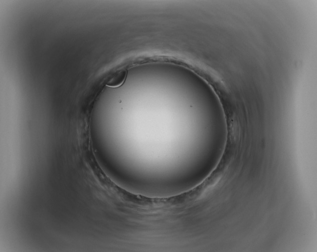 X0000113751494200909301021