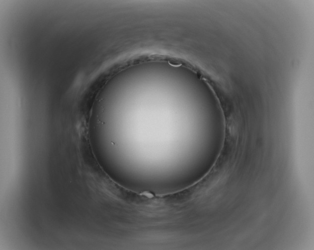 X0000113751495200909301021