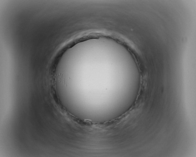X0000113751496200909301021