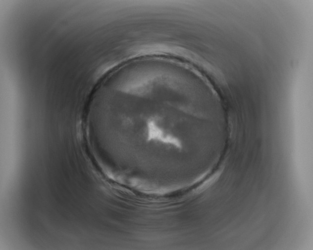 X0000113751497200909301021