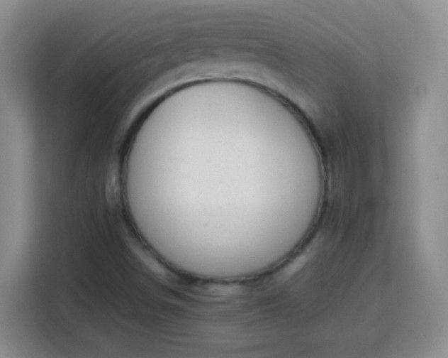 X0000113751498200909301021