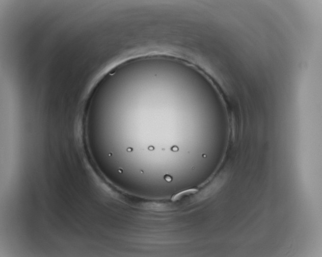 X0000113751500200909301021
