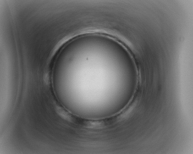 X0000113751501200909301021