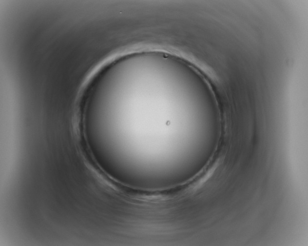 X0000113751502200909301021