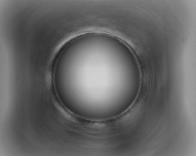 X0000113751503200909301021