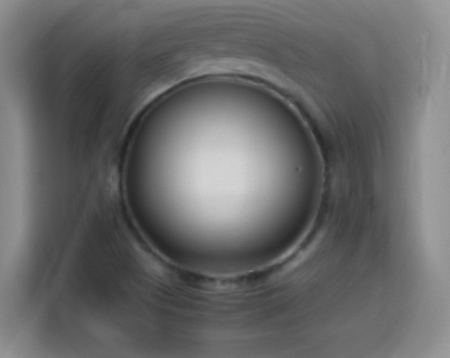 X0000113751505200909301021