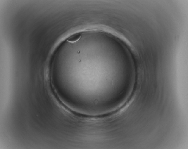 X0000113751506200909301021