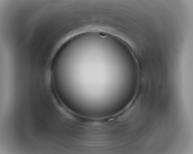 X0000113751507200909301021