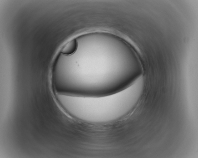 X0000113751508200909301021